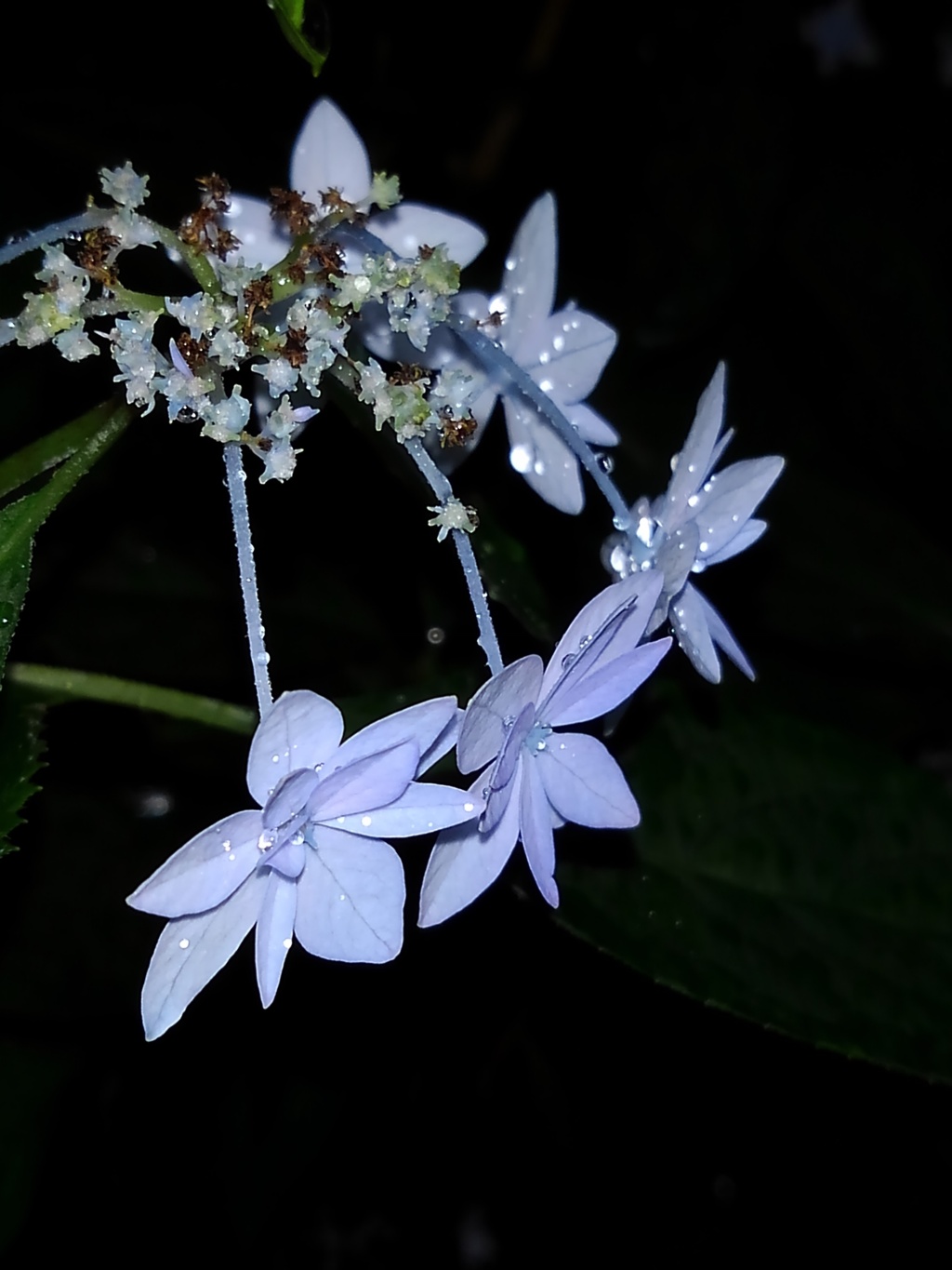 夜も魅せる☆