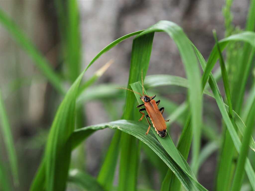 初めまして～