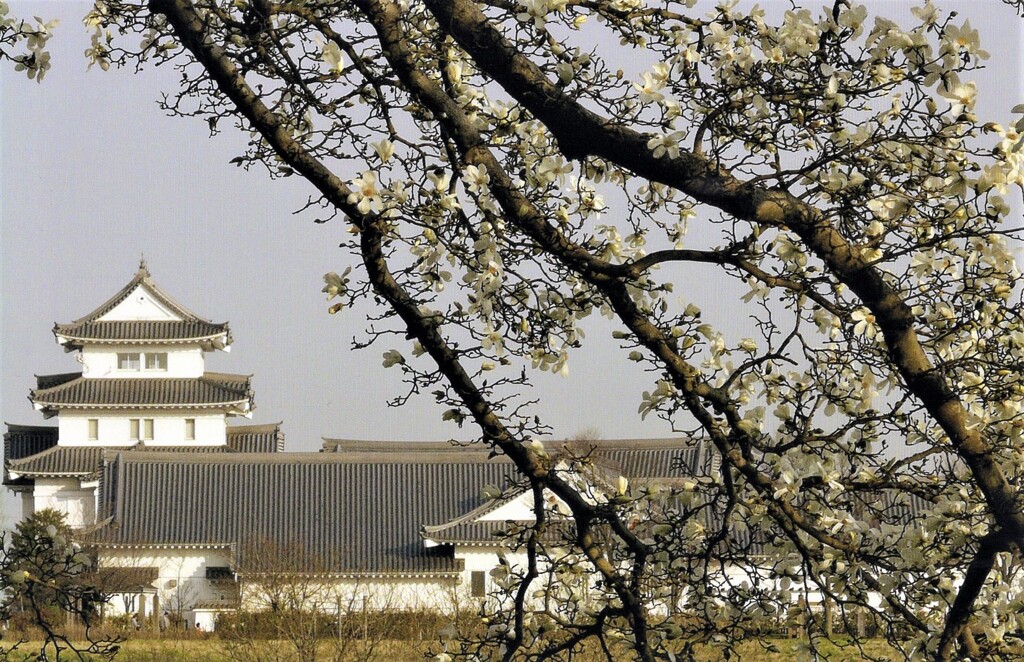 関宿城の春