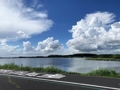 手賀沼の夏