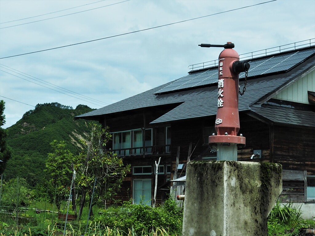共存する村