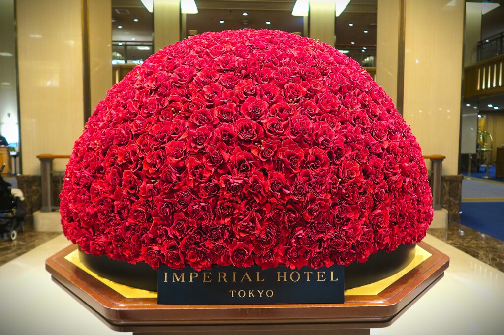 冬を彩る「赤」