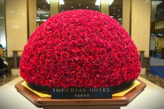 冬を彩る「赤」