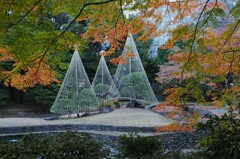 都会のオアシス