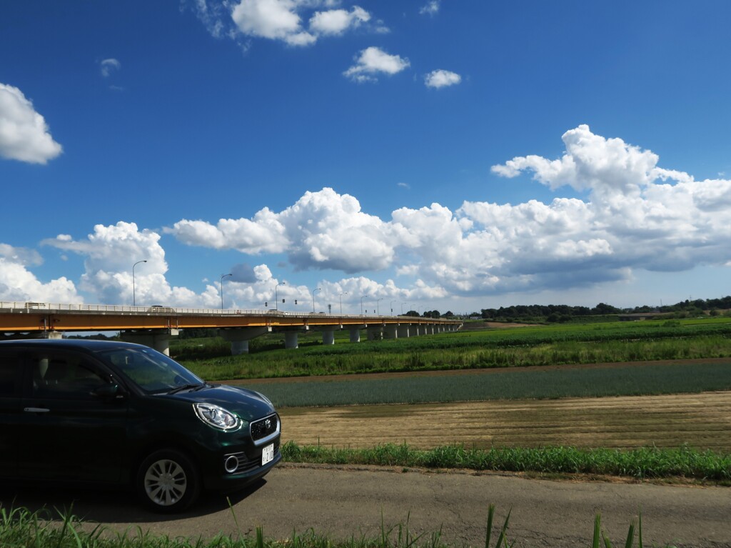 夏雲を追っかけて