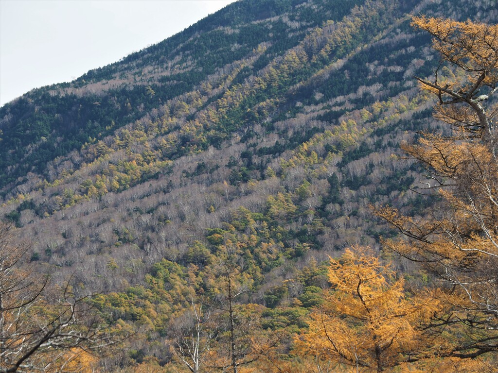 日光・男体山