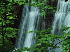 新緑と滝