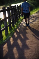 朝夕の散歩