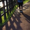 朝夕の散歩