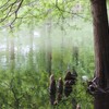 雨あがりの公園
