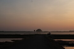 夜明けの田んぼ道