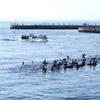 春の海