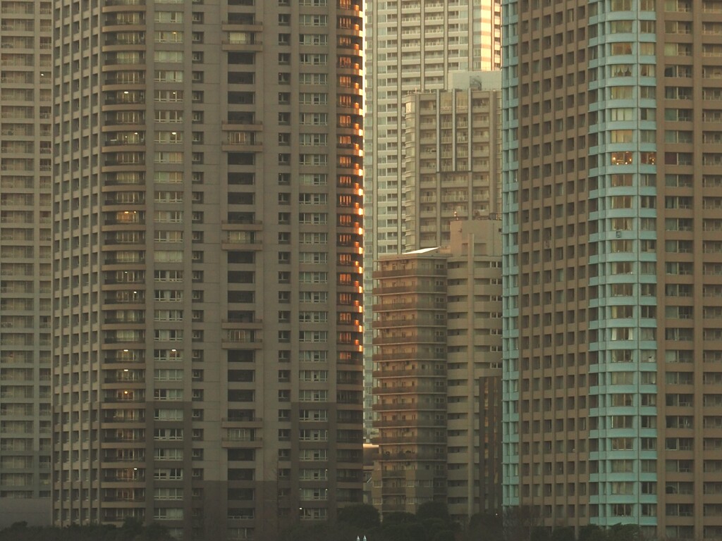 東京・川沿いのタワーマンション