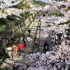 春の京都②
