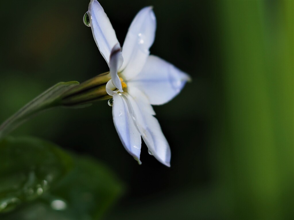 横顔も見てね～