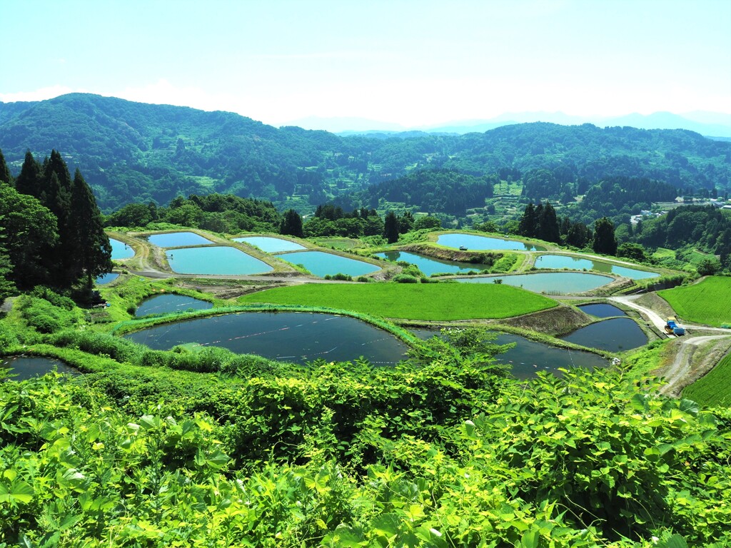 峠を超えて③