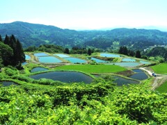 峠を超えて③