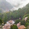 身延山・久遠寺 ②