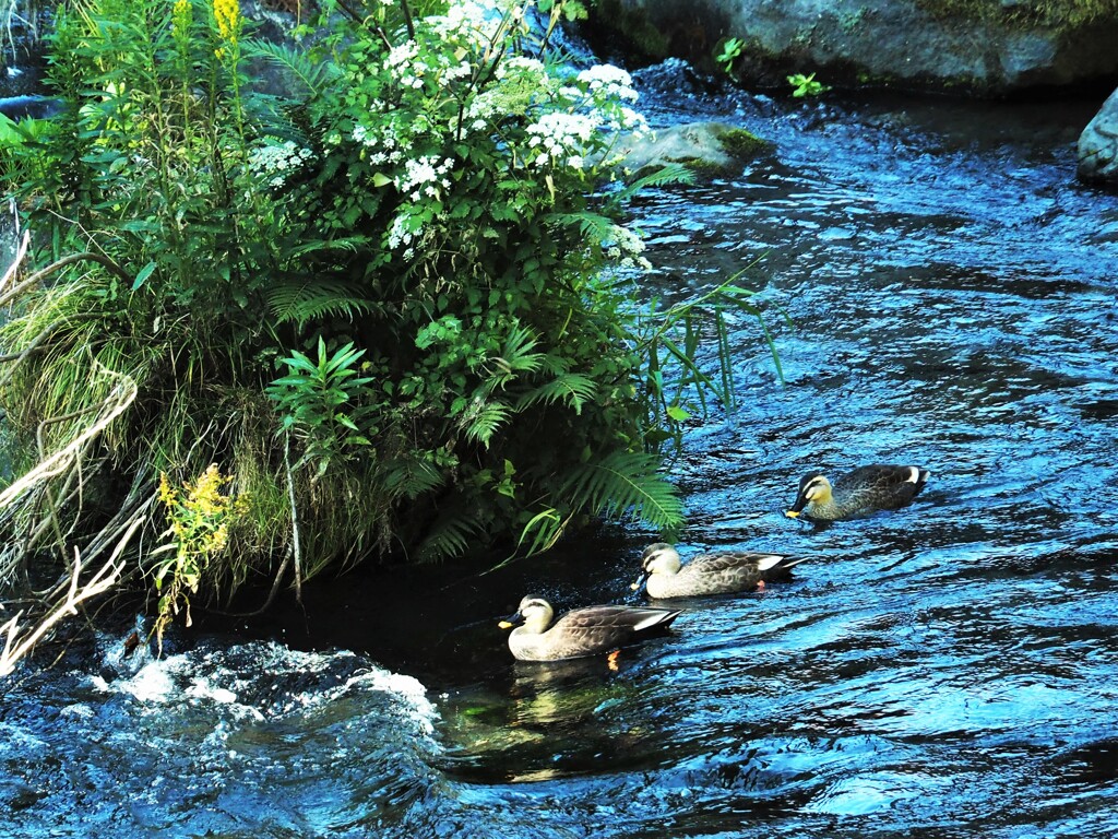 どこに行くの？