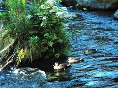 どこに行くの？