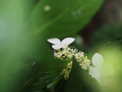 控えめに・・ご挨拶