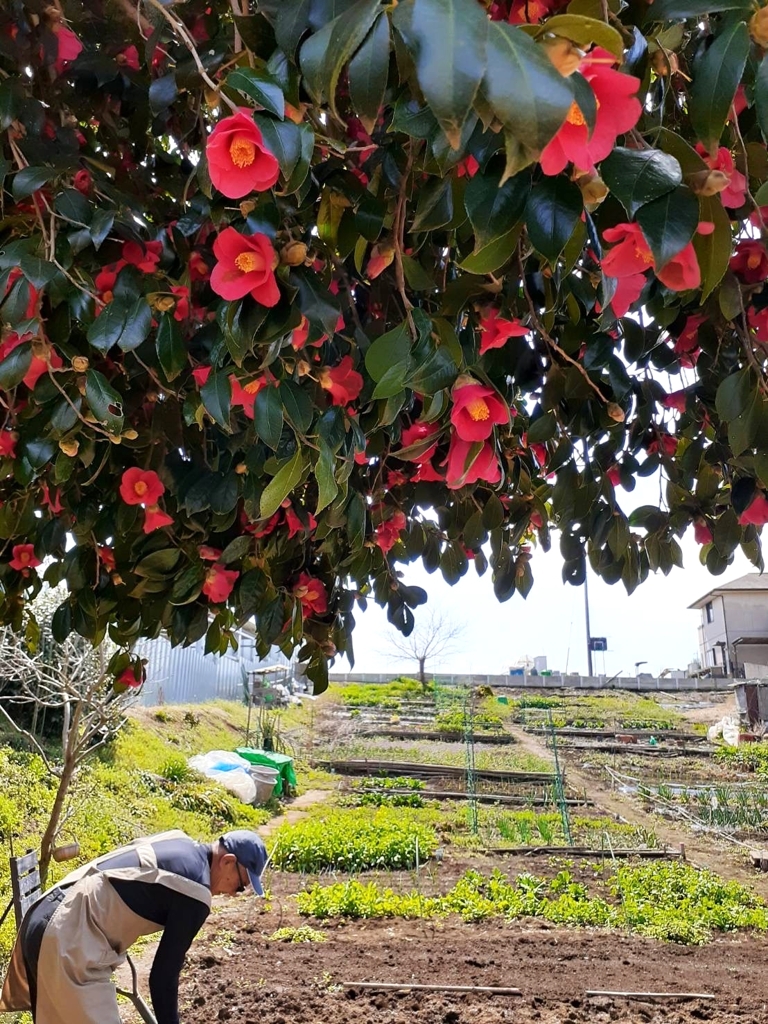 開梱作業