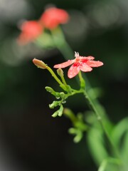 雨ですね～②