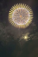 手賀沼花火⑤