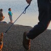 夕方の公園