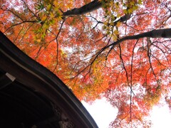 東漸寺