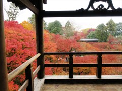 通天橋