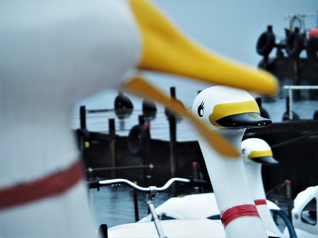 支笏湖で遊ぶ（3）