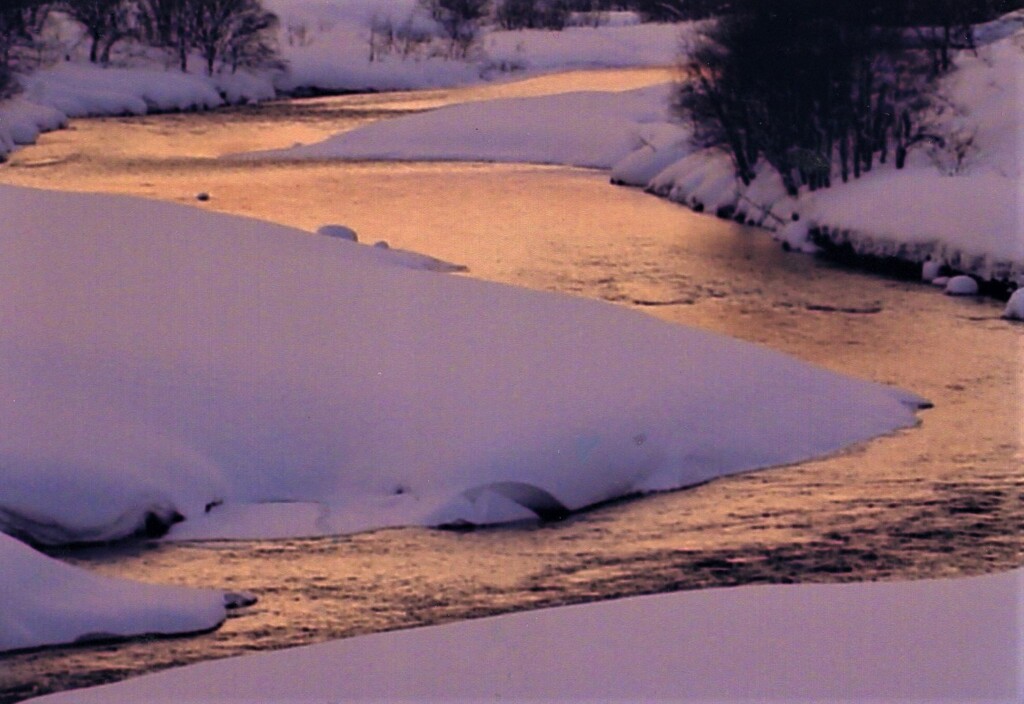 夕日に染まる川