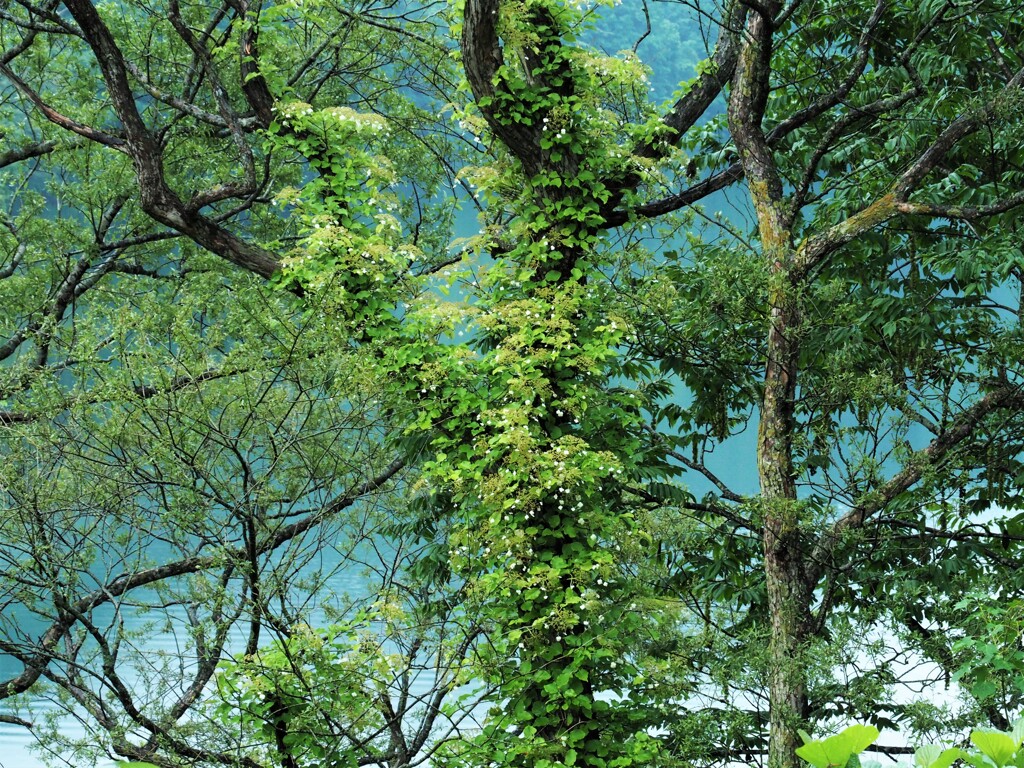 寄り添って～～♡