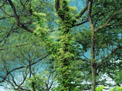 寄り添って～～♡