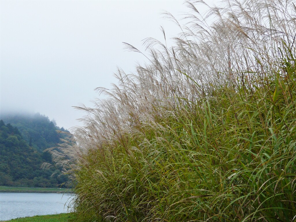 秘境の朝