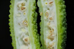 苦みの美学