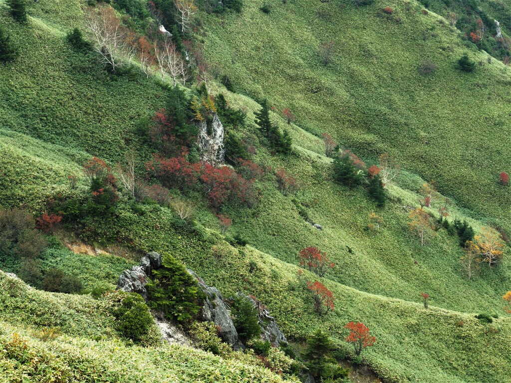 峠の秋色③