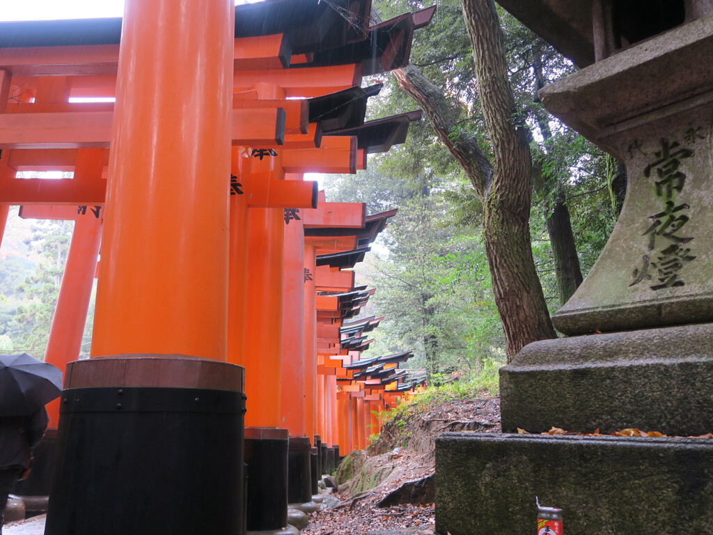 新年に願いを込めて