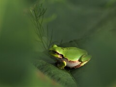 できちゃったみたい～