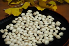 ギンナン, 美しきかな