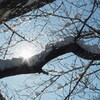 大雪の後☆☆