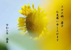 暑いなか、いかがお過ごしでしょうか
