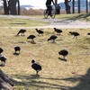 啓蟄の頃
