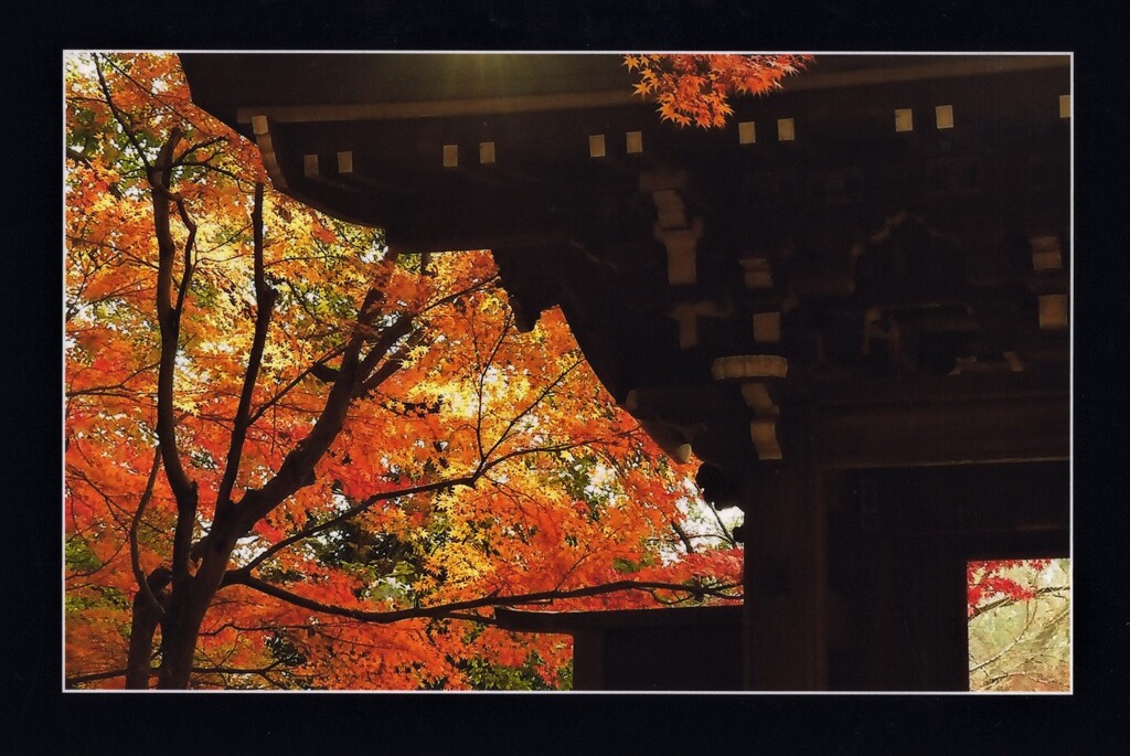 燃えるお寺さん