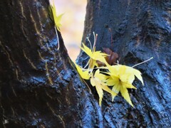 もう少し見てて～～