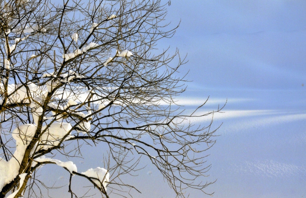 雪肌①