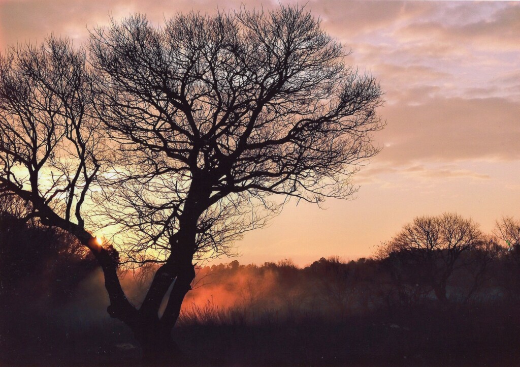 冬の河原、息をする