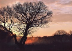 冬の河原、息をする