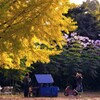 小春日和